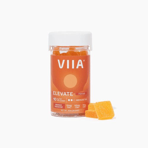 elevate focus gummies 10mg thc 368879